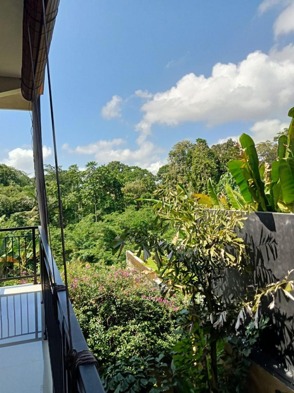 Lavista Guesthouse Ubud Exteriör bild